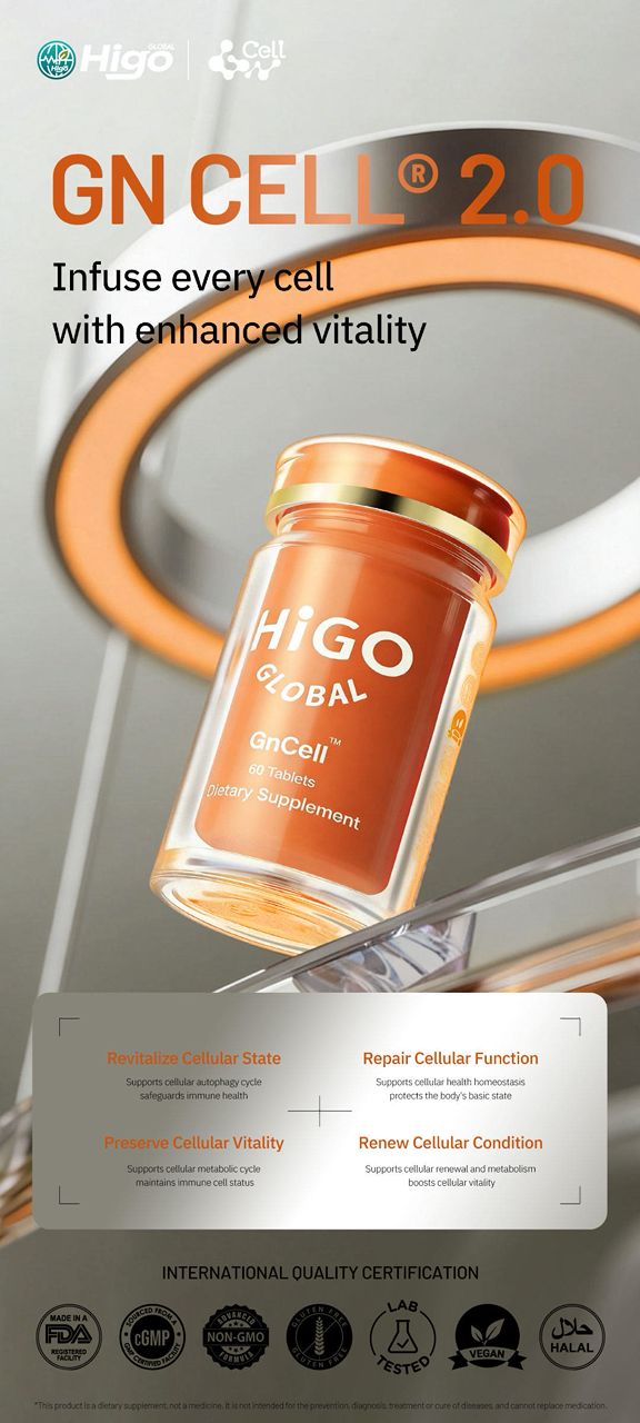 higonlineb4b